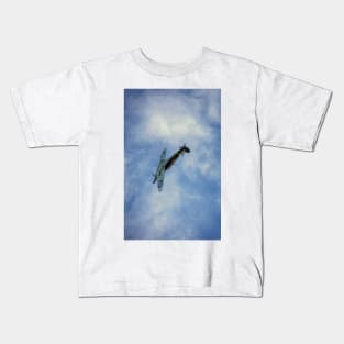 Freedom of the Skies Kids T-Shirt